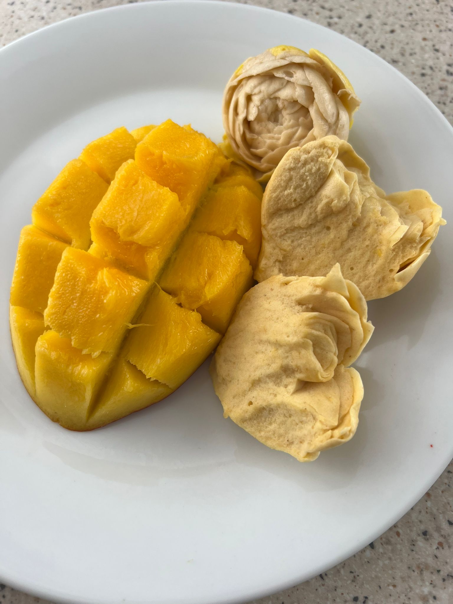 Process of making Flor Mellow13