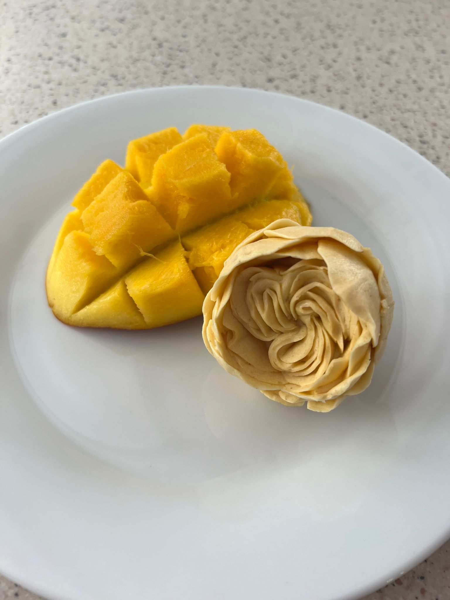 Process of making Flor Mellow4